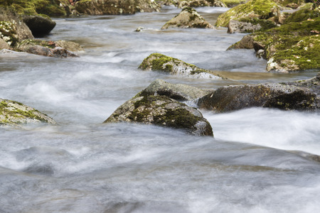 Forest stream running over mossy rocksの写真素材