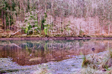 Eume river. Fragas do Eume. Natural park in Galicia (Spain).の写真素材