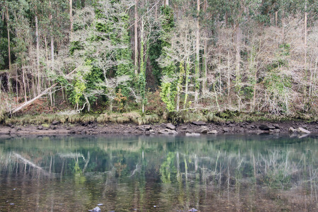 Eume river. Fragas do Eume. Natural park in Galicia (Spain).の写真素材