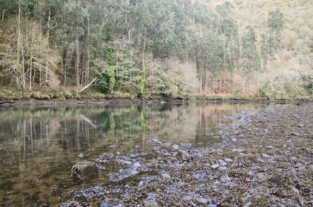 Eume river. Fragas do Eume. Natural park in Galicia (Spain).の写真素材