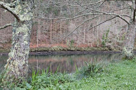 Eume river. Fragas do Eume. Natural park in Galicia (Spain).の写真素材