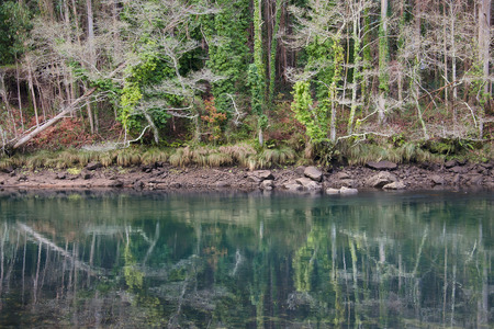 Eume river. Fragas do Eume. Natural park in Galicia (Spain).の写真素材