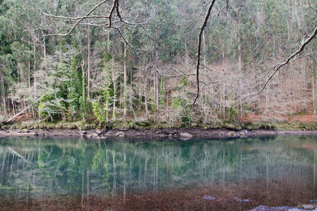 Eume river. Fragas do Eume. Natural park in Galicia (Spain).の写真素材
