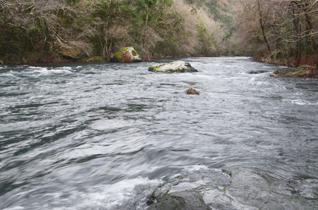 Eume river. Fragas do Eume. Natural park in Galicia (Spain).の写真素材