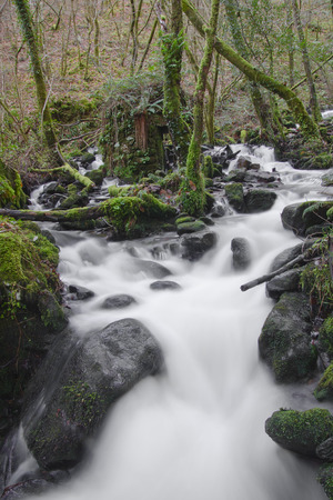 Eume river. Fragas do Eume. Natural park in Galicia (Spain).の写真素材