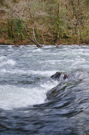 Eume river. Fragas do Eume. Natural park in Galicia (Spain).の写真素材