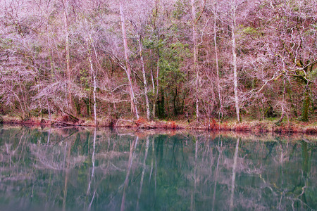Eume river. Fragas do Eume. Natural park in Galicia (Spain).の写真素材