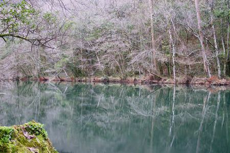 Eume river. Fragas do Eume. Natural park in Galicia (Spain).の写真素材
