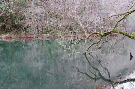 Eume river. Fragas do Eume. Natural park in Galicia (Spain).の写真素材