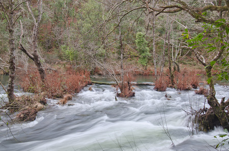 Eume river. Fragas do Eume. Natural park in Galicia (Spain).の写真素材