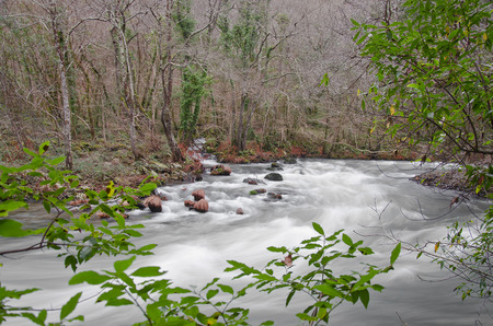 Eume river. Fragas do Eume. Natural park in Galicia (Spain).の写真素材