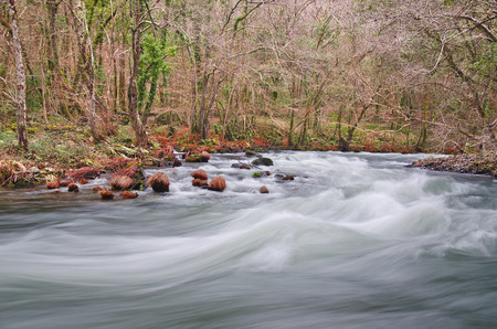Eume river. Fragas do Eume. Natural park in Galicia (Spain).の写真素材