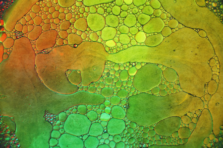 Abstract shapes of oil and paint mixtureの写真素材