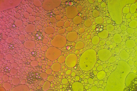 Oil drops in water on a coloured backgroundの写真素材