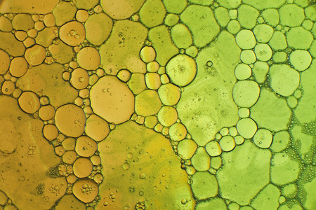 Oil drops in water on a coloured backgroundの写真素材