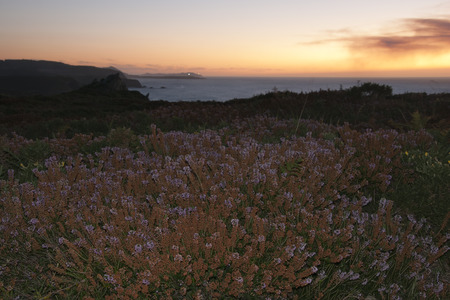 sunset on the coast (Spain)の写真素材