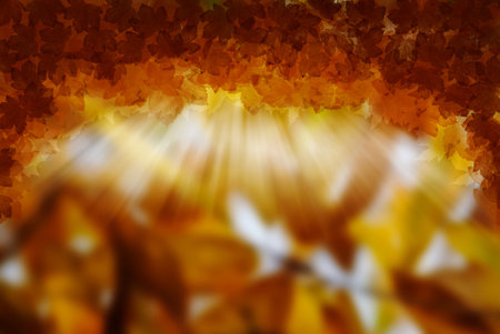 Abstract autumnal backgrounds with beauty bokeh