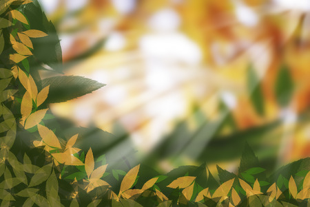 Abstract autumnal backgrounds with beauty bokehの写真素材