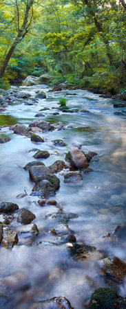 Mountain river with rapids and waterfalls at autumn time