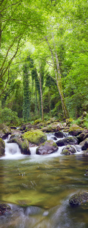 Mountain river with rapids and waterfalls at autumn timeの写真素材