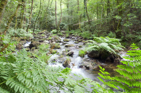 Mountain river with rapids and waterfalls at autumn timeの写真素材