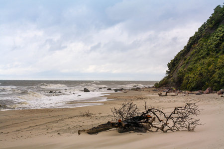 baltic beachの写真素材