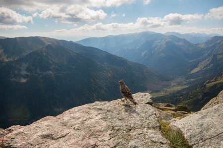 Tatry. Poland and Slovakia boundary, autumn landskapesの写真素材