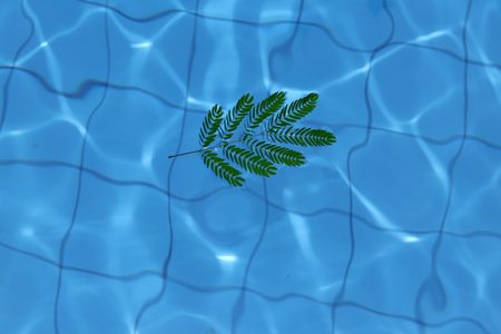 Fern leaf in swimming pool, 3d render, top view