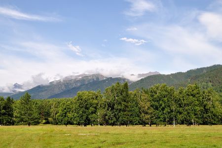 Edge of the forest in the mountains の写真素材