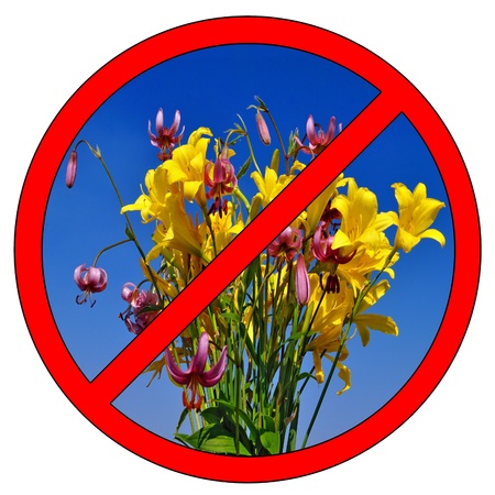 Sign prohibiting the collection of wild flowers の写真素材