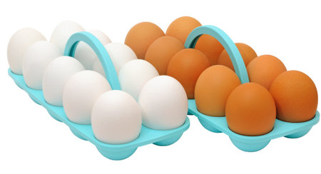 A dozen eggs with white shells and a dozen eggs with brown shells in plastic trays