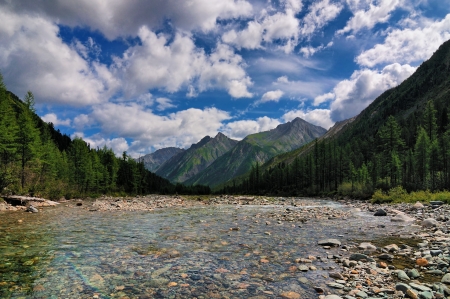 Clear water of a mountain river in the flood channel. Shumak River. Eastern Sayan. Buryatiaの写真素材