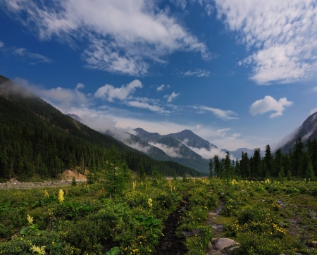 Blooming meadow in a mountain valley and beautiful clouds in the sky. Shumak valley. Republic of Buryatiaの写真素材