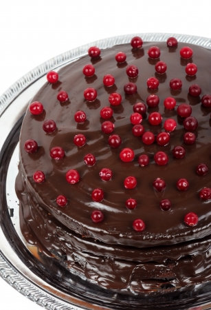 Homemade chocolate cake on a metal round dishの写真素材