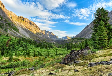 Summer morning in mountain valley. Eastern Siberia. Sayan mountains. Russiaの写真素材