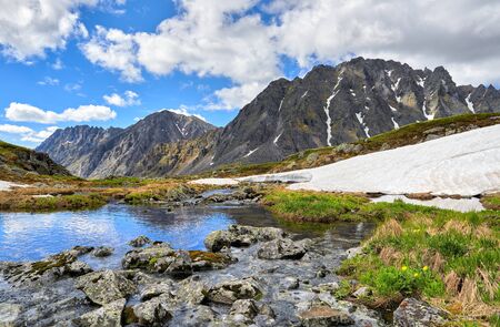 Stones covered with mosses and lichens over water in a mountain hollow. June. Eastern Siberia. Russiaの写真素材