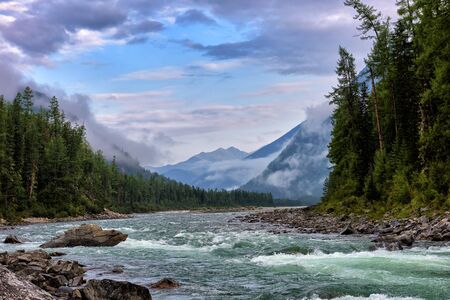August morning at mountain rivulet. Kitoy River. Eastern Sayan. Buryatiaの写真素材