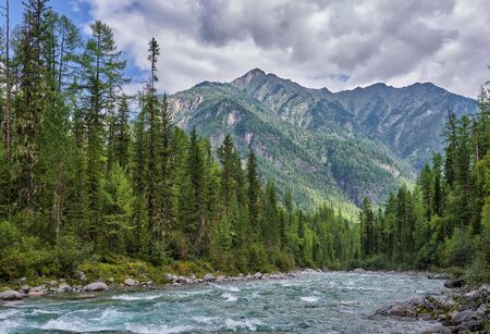 River rifts of darkly fast mountain river. Deep dark coniferous taiga in Eastern Siberia. Sayan mountains. Buryatia, Russiaの写真素材