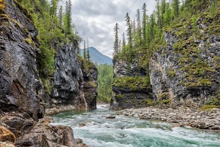 Rapid and gorge canyon of Siberian mountain rivulet. Cloudy day in august. East Sayan. Russiaの写真素材