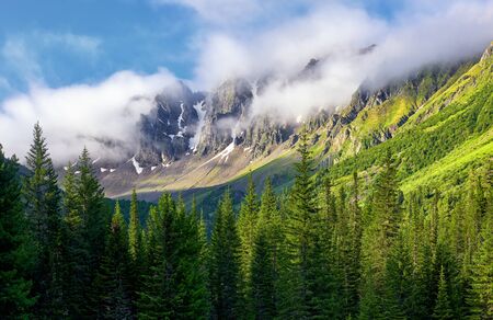 Mountain peaks are shrouded in thick fog. Summer morning in Siberian mountains. East Sayan. Tyva Republic. Central Asiaの写真素材