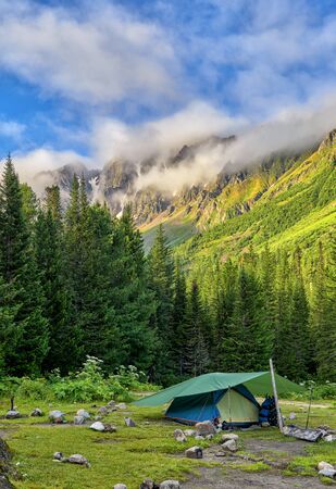 Tent backpackers installed on edge of dark forest. Siberian summer morning in mountains. Eastern Sayan. Tuvaの写真素材