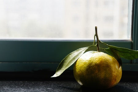  orangeの写真素材