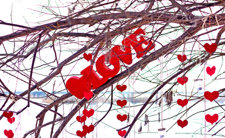 A plaque with the inscription love hanging on a treeの写真素材