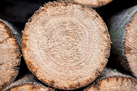 Background of dry chopped firewood logs stacked up on top of each other in a pile. Round logs for the stove or fire. pile of logs.の写真素材
