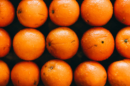 fresh orange pattern background. fruit collection. citrusの写真素材