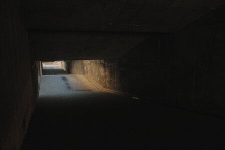 Beautiful Abstract Building Process of Skyscraper Seamless. Looped 3d Animation of Growing Construction Progress Modern Building with Concreteの写真素材