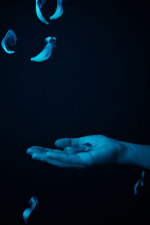 hand on a black background catches falling tulip petals. conceptual