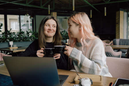two happy young women sitting in coffee shop looking at laptop computerの写真素材