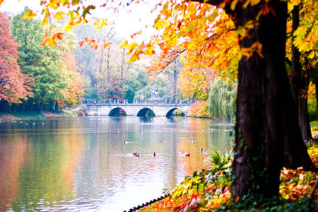Idyllic autumn scenery of the Lazienki Royal Park in Warsaw, Polandの写真素材