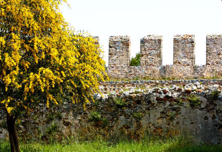 castle wall. Turkey Alanyaのeditorial素材